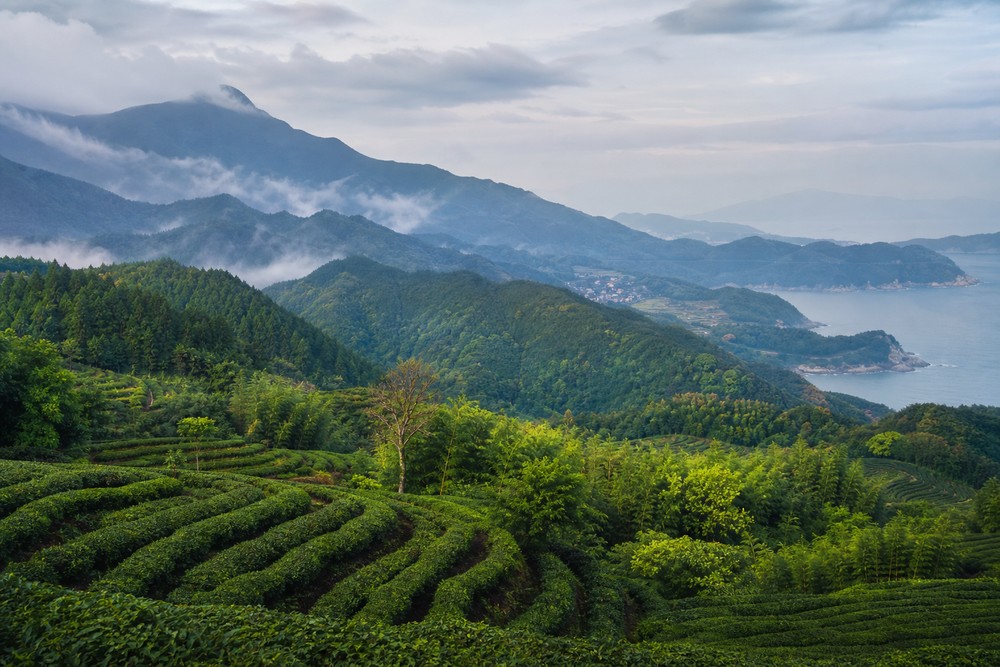 Best Time to Visit Fujian: Weather, Seasons, and Local Experiences